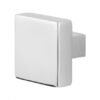 gpf9948 s2 knop rvs gepolijst 2 1