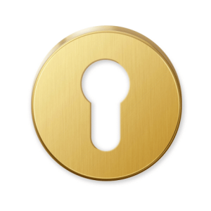 cilinderrozet 651 by 51x10mm goud 24k